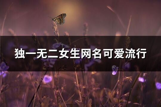 獨一無二女生網名可愛流行(共52個)