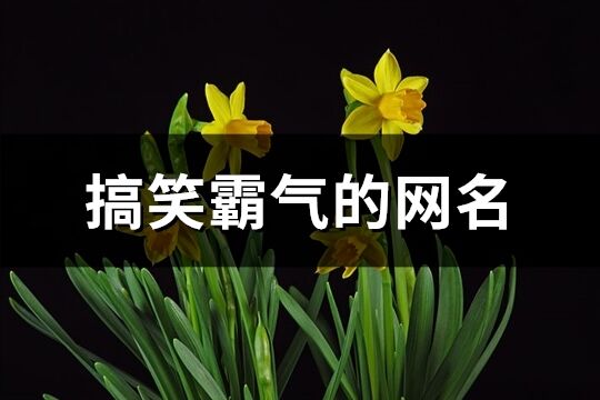 搞笑霸氣的網(wǎng)名(優(yōu)選153個(gè))