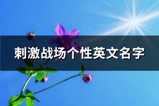 刺激戰(zhàn)場個性英文名字(精選74個)