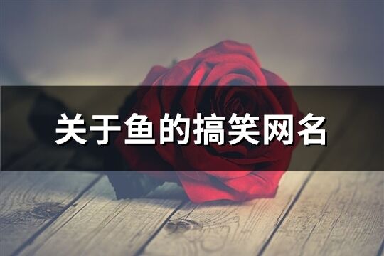 關(guān)于魚的搞笑網(wǎng)名(優(yōu)選188個(gè))