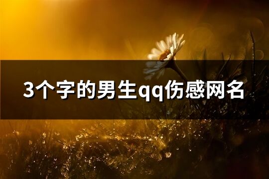 3個字的男生qq傷感網名(57個)