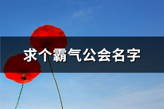 求個(gè)霸氣公會名字(共362個(gè))