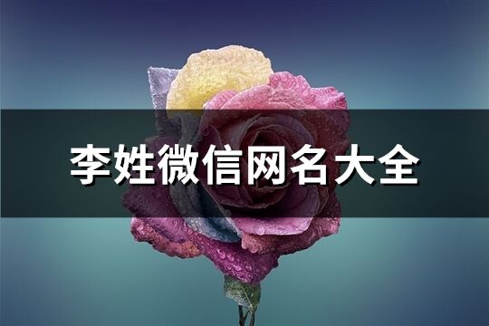 李姓微信網名大全(260個)