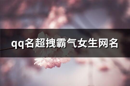 qq名超拽霸氣女生網名(優選161個)