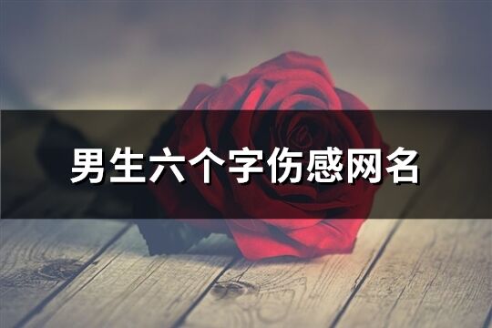 男生六個字傷感網名(289個)