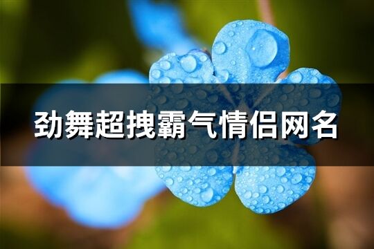 勁舞超拽霸氣情侶網(wǎng)名(110個(gè))