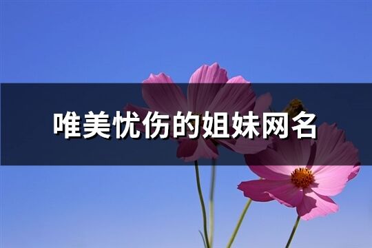 唯美憂傷的姐妹網名(精選29個) 唯美憂傷的姐妹網名(精選29個)
