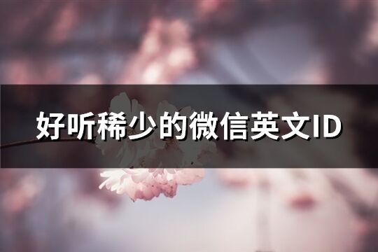 好聽稀少的微信英文ID(精選104個)