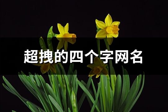超拽的四個(gè)字網(wǎng)名(精選586個(gè))