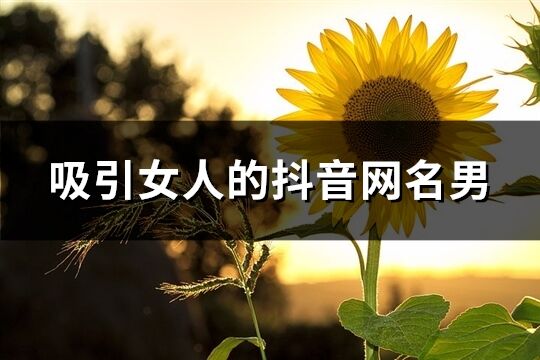 吸引女人的抖音網名男(417個)