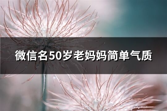 微信名50歲老媽媽簡單氣質(優選1062個)