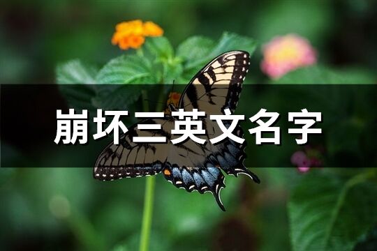崩壞三英文名字(83個(gè))