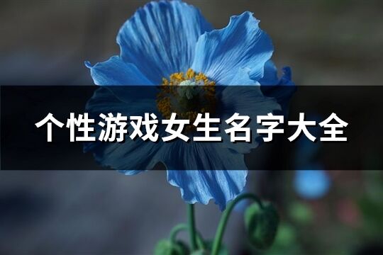 個性游戲女生名字大全(共480個)