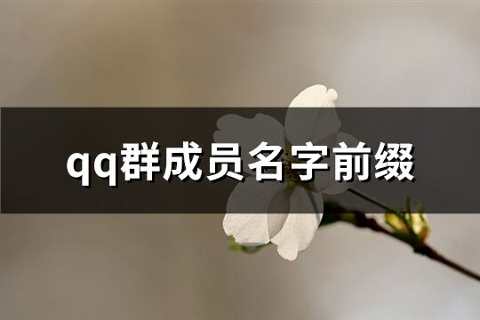 qq群成員名字前綴(優(yōu)選76個(gè))