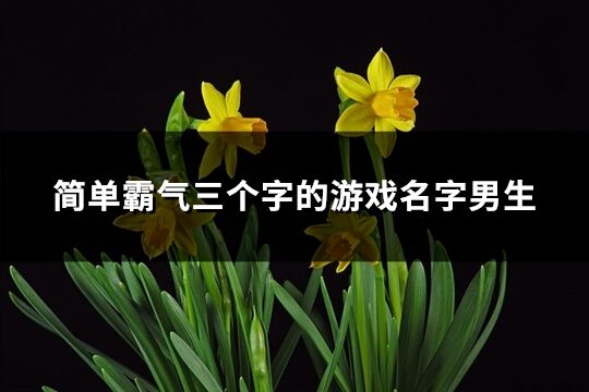 簡單霸氣三個字的游戲名字男生(共223個)