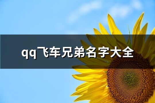 qq飛車兄弟名字大全(共76個)