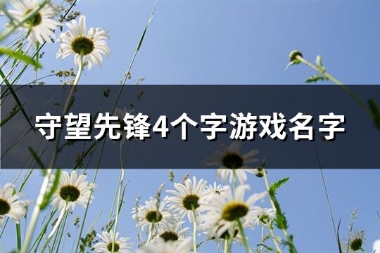 守望先鋒4個(gè)字游戲名字(精選415個(gè))
