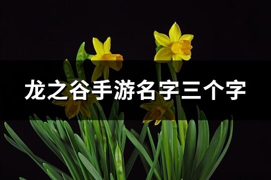龍之谷手游名字三個(gè)字(共90個(gè))