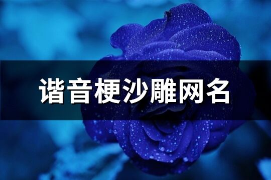 諧音梗沙雕網(wǎng)名(精選89個)