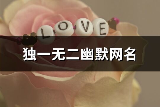 獨一無二幽默網名(142個)