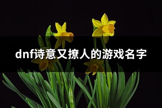 dnf詩意又撩人的游戲名字(精選168個)