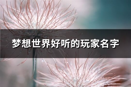 夢想世界好聽的玩家名字(精選133個)