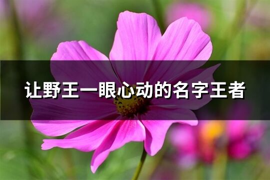 讓野王一眼心動的名字王者(精選98個)