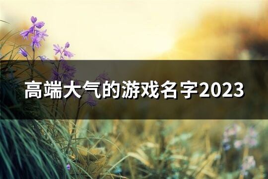 高端大氣的游戲名字2023(48個(gè))