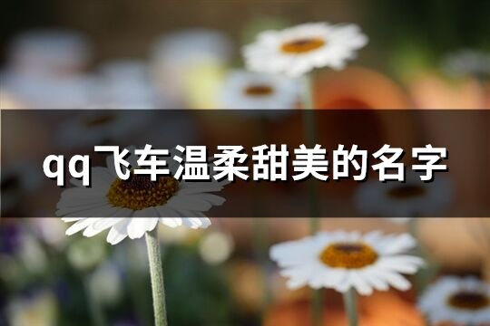 qq飛車溫柔甜美的名字(精選245個)