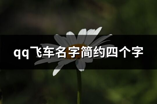 qq飛車名字簡約四個字(精選461個)