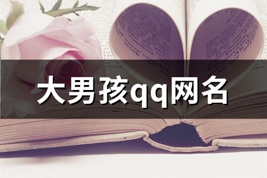 大男孩qq網(wǎng)名(705個(gè))