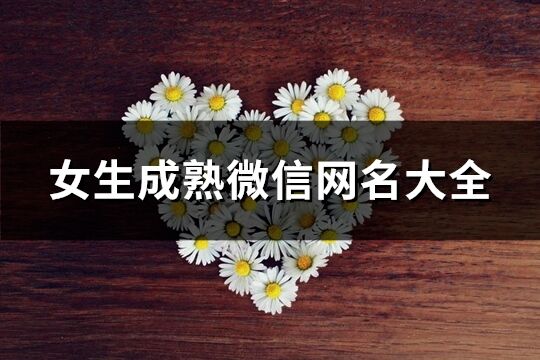女生成熟微信網(wǎng)名大全(共467個(gè))