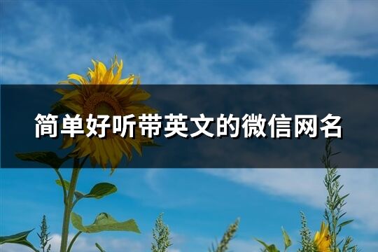 簡單好聽帶英文的微信網名(共89個)