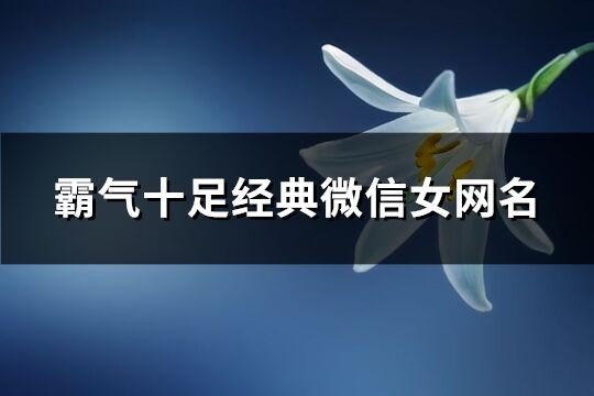 霸氣十足經典微信女網名(391個)