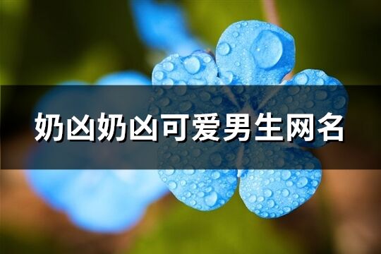 奶兇奶兇可愛男生網(wǎng)名(共72個)