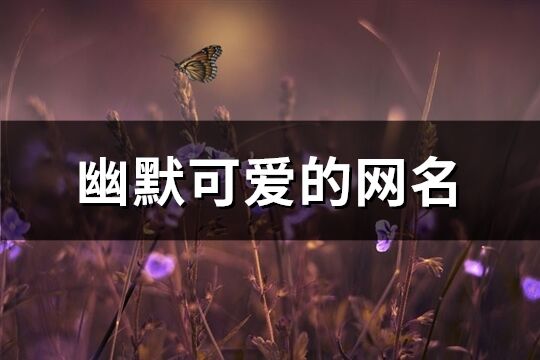 幽默可愛的網名(共612個)