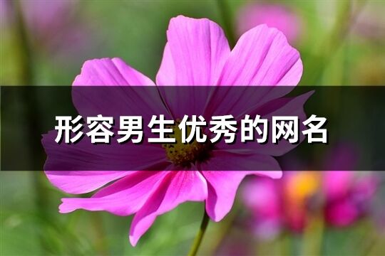 形容男生優秀的網名(精選741個)
