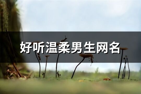 好聽溫柔男生網名(721個)