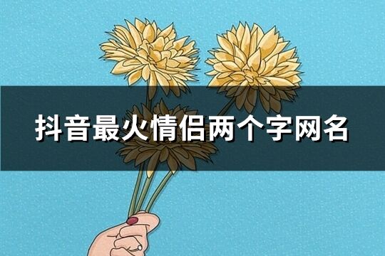 抖音最火情侶兩個字網名(精選191個)