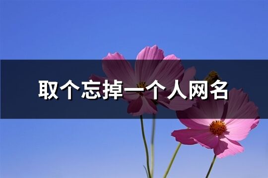取個忘掉一個人網(wǎng)名(精選122個)