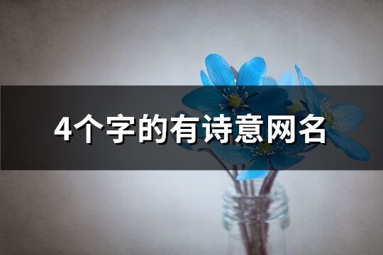 4個字的有詩意網名(333個)