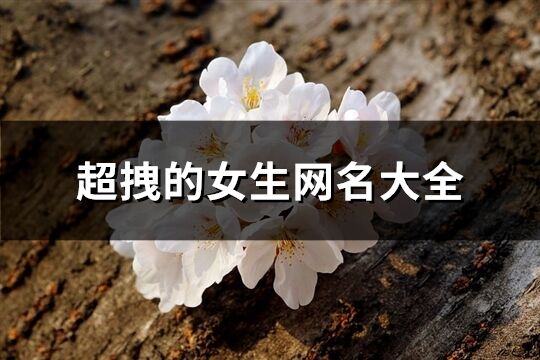超拽的女生網(wǎng)名大全(精選473個)