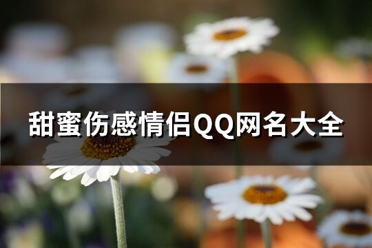 甜蜜傷感情侶QQ網名大全(230個)