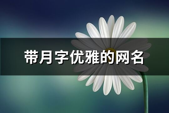 帶月字優雅的網名(94個)