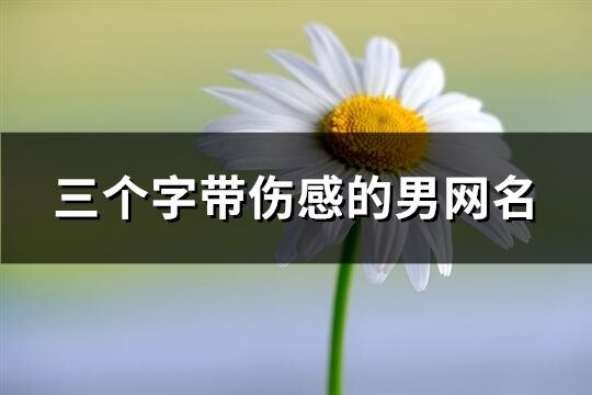 三個字帶傷感的男網(wǎng)名(647個)