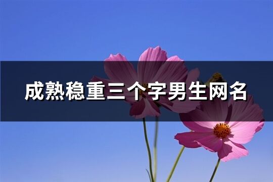 成熟穩(wěn)重三個(gè)字男生網(wǎng)名(共553個(gè))
