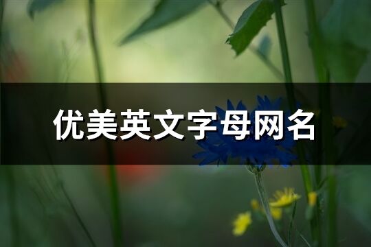 優(yōu)美英文字母網(wǎng)名(共186個(gè))
