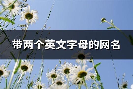帶兩個英文字母的網名(精選67個)
