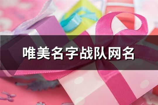 唯美名字戰(zhàn)隊網(wǎng)名(98個)