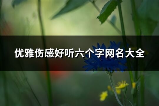 優(yōu)雅傷感好聽六個(gè)字網(wǎng)名大全(633個(gè))